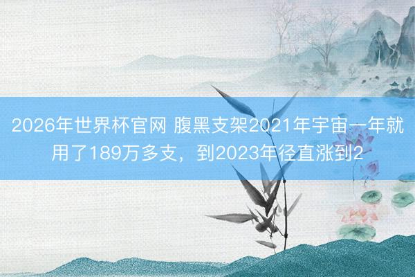 2026年世界杯官网 腹黑支架2021年宇宙一年就用了189万多支，到2023年径直涨到2