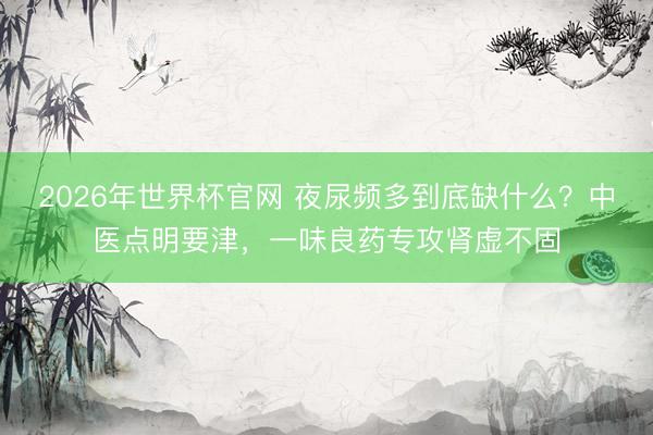 2026年世界杯官网 夜尿频多到底缺什么？中医点明要津，一味良药专攻肾虚不固