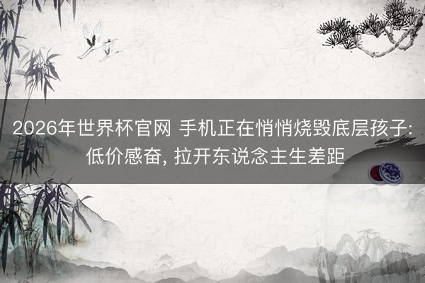 2026年世界杯官网 手机正在悄悄烧毁底层孩子: 低价感奋， 拉开东说念主生差距