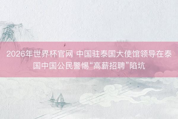 2026年世界杯官网 中国驻泰国大使馆领导在泰国中国公民警惕“高薪招聘”陷坑