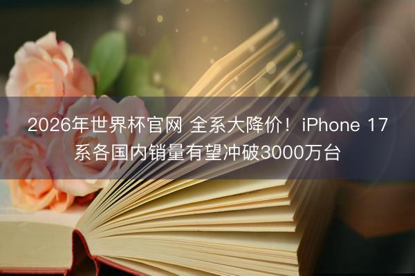 2026年世界杯官网 全系大降价！iPhone 17系各国内销量有望冲破3000万台