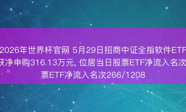 2026年世界杯官网 5月29日招商中证全指软件ETF(159899)获净申购316.13万元， 位居当日股票ETF净流入名次266/1208