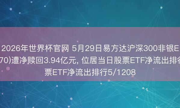 2026年世界杯官网 5月29日易方达沪深300非银ETF(512070)遭净赎回3.94亿元， 位居当日股票ETF净流出排行5/1208