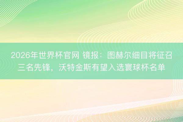 2026年世界杯官网 镜报:图赫尔细目将征召三名先锋,沃特金斯有望入选寰球杯名单
