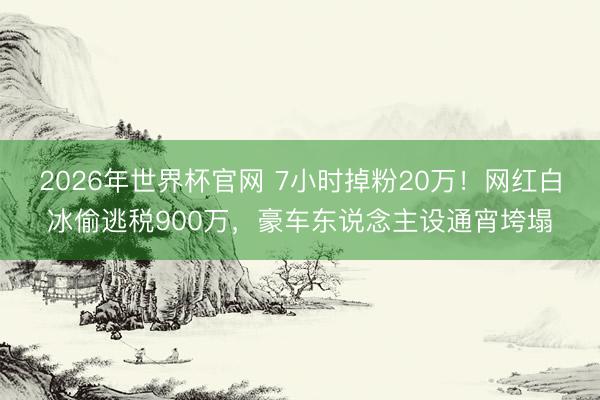 2026年世界杯官网 7小时掉粉20万！网红白冰偷逃税900万，豪车东说念主设通宵垮塌