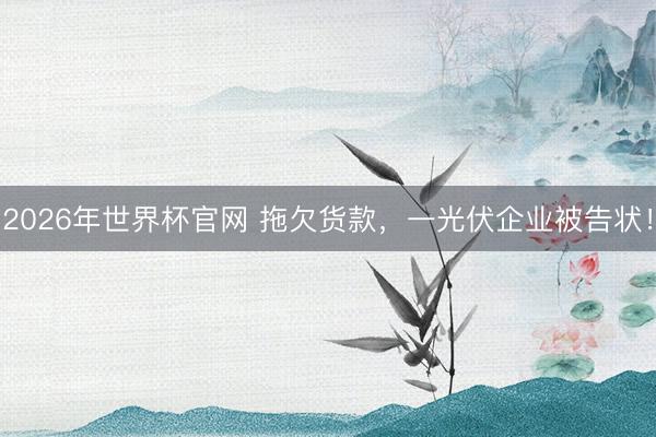 2026年世界杯官网 拖欠货款,一光伏企业被告状!