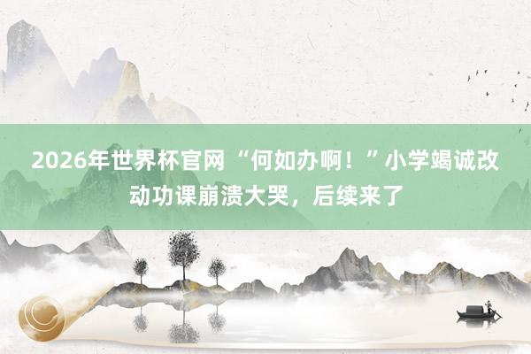 2026年世界杯官网 “何如办啊！”小学竭诚改动功课崩溃大哭，后续来了